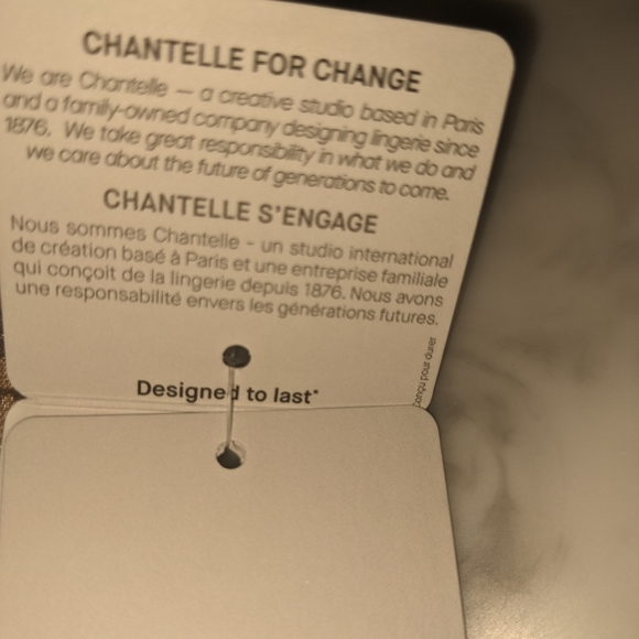 Chantelle C Magnifique Nouveau Minimizer Bra  / Chantelle Bra - Picture 9 of 10